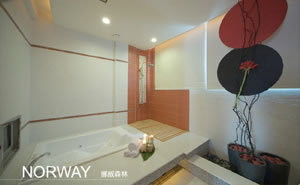 普普風-挪威森林