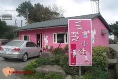 三芝小豬